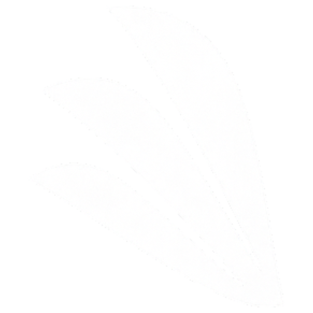 Remora Logo